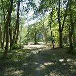 Mit Brockenblick Langenstein