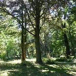 Mit Brockenblick Apartmán *
