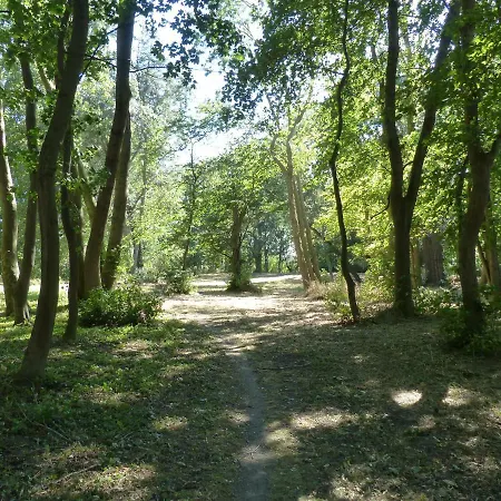 Mit Brockenblick Langenstein