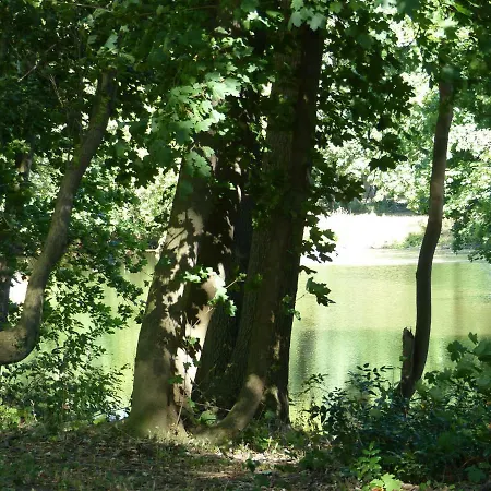 Mit Brockenblick * Langenstein