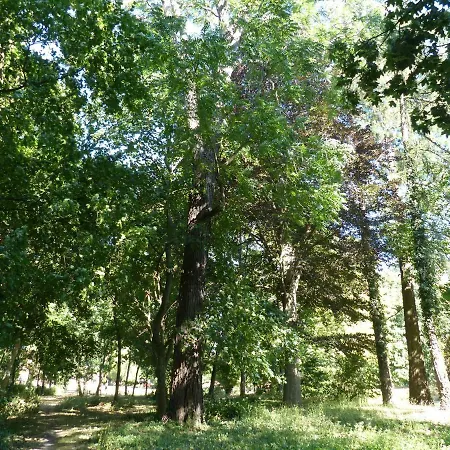 דירה Mit Brockenblick Langenstein