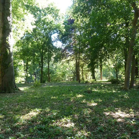 Lägenhet Mit Brockenblick Langenstein