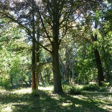 Mit Brockenblick דירה *