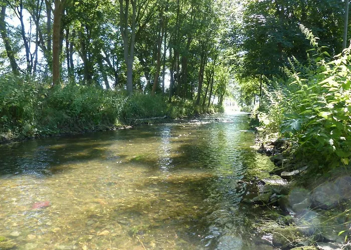 Apartment Mit Brockenblick