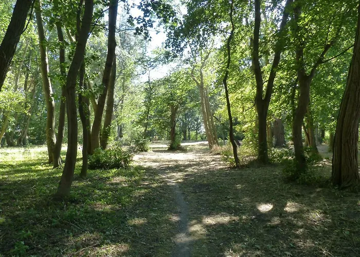Mit Brockenblick Langenstein