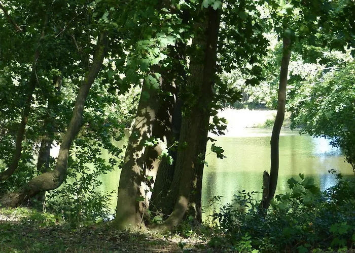 Mit Brockenblick * Langenstein