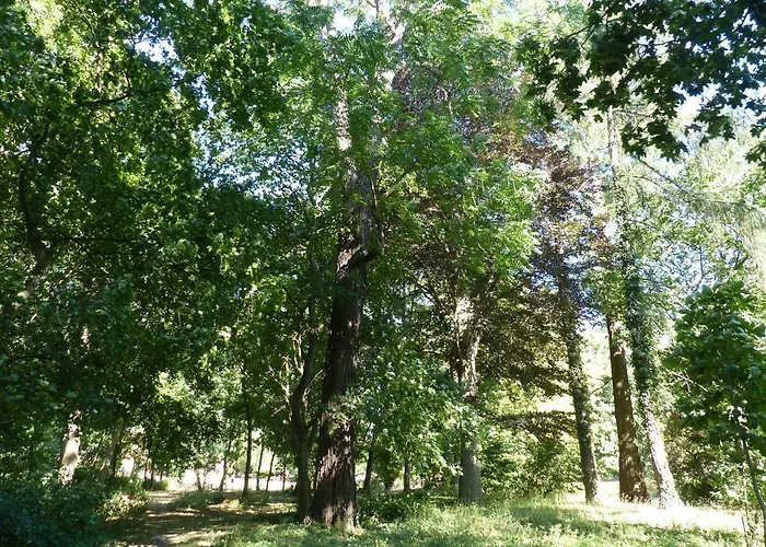 Apartment Mit Brockenblick Langenstein