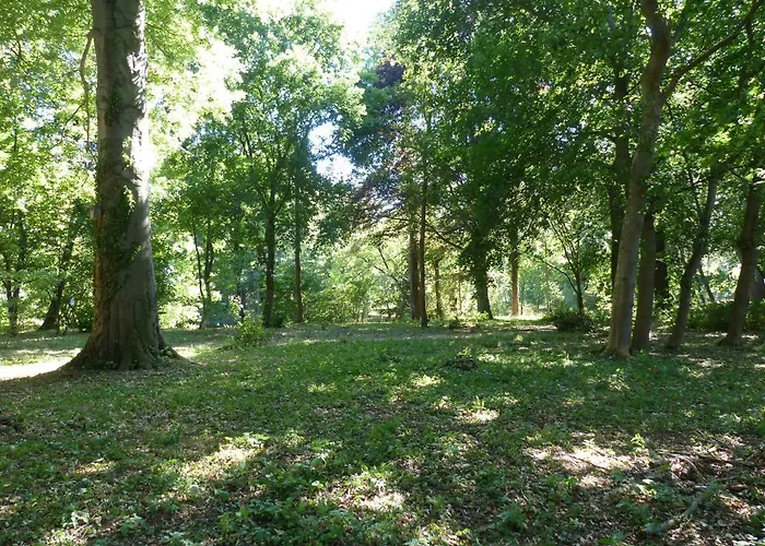 Apartment Mit Brockenblick Langenstein