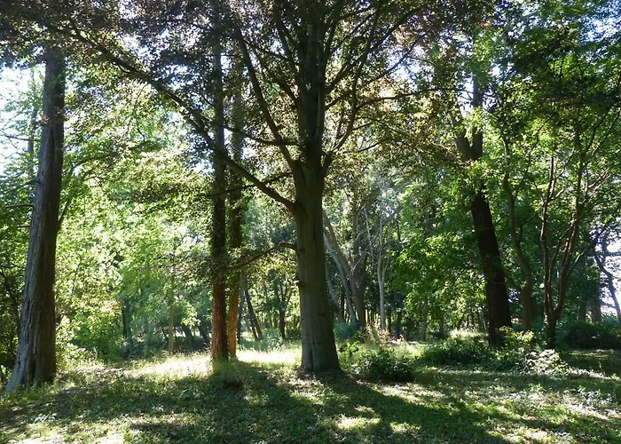 Mit Brockenblick Apartment *