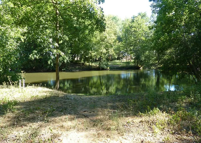 Apartment Mit Brockenblick *